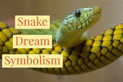 The Fear of Being Betrayed and Vulnerable: A Dream About Snakes, Bugs, and Inappropriate Touching
